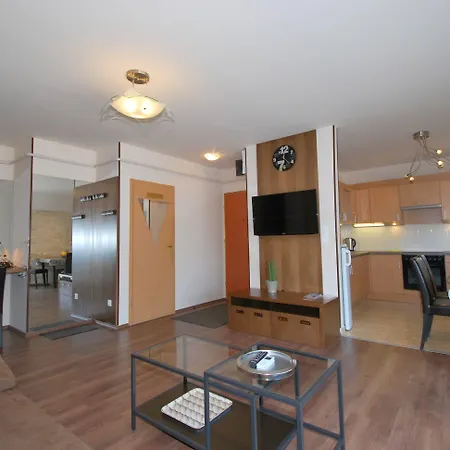 Apartament Arpad Bridge *